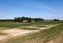 Postošā sausuma dēļ lauksaimnieki izmisumā: lūdz valdību izsludināt ārkārtas stāvokli Ventspils novadā