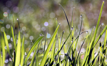 Ventspilī sestdiena būs mākoņaina, taču bez nokrišņiem
