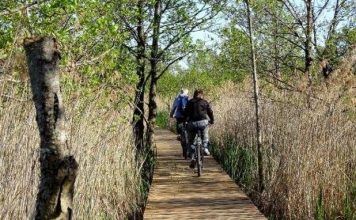 Būšnieku ezera dabas taku piecu mēnešu laikā apmeklējuši jau 12 000 cilvēku