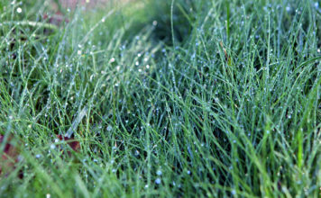 Šorīt Ventspilī bija vien +6 grādus silts