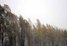 Piektdienas rītā Ventspilī vēja ātrums joprojām 20 m/s