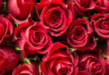 Aicina izvirzīt izcilākās un spilgtākās personas Ventspils novada apbalvojumiem