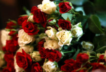 Dorbes muzejā pasniegs apbalvojumu gada humanitāro zinību skolotājam