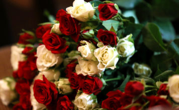 Dorbes muzejā pasniegs apbalvojumu gada humanitāro zinību skolotājam