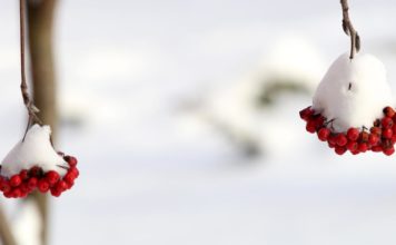 Oktobra beigās gaidāms sniegs