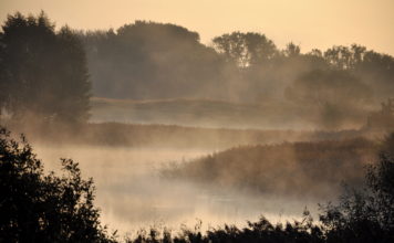 Autovadītāju ievērībai: Uz Ventspils šosejas redzamību var apgrūtināt migla