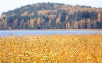Arī trešdiena būs saulaina, taču kļūs nedaudz vēsāks