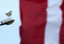 Lāčplēša diena būs apmākusies un vējaina, vakarā gaidāms arī lietus