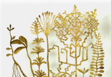 Atklās “Latvijas zelts” cikla noslēdzošo izstādi