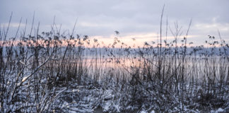 Ventspilī ceturtdiena būs lielākoties saulaina