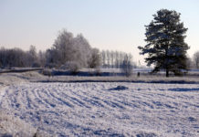 Dienā uzspīdēs saule, brāzmainais vējš pierims pilnībā