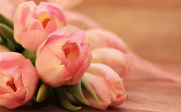 Šonedēļ populārākie vārdi – Diāna un Adrians