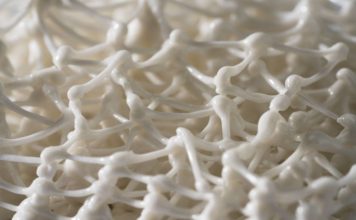 Atlantīdas meklējumi mākslinieces Nuķes-Panteļejevas porcelāna darbos “Jūras vārtos”