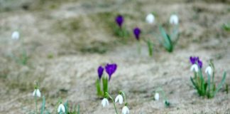 Marts būs neierasti silts mēnesis