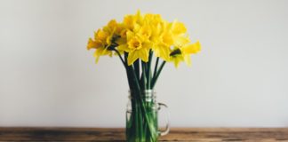 Trešdiena paies pārsvarā saulaina un bez nokrišņiem