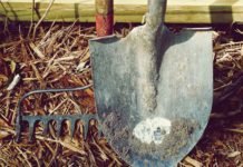 Ventspilniekus aicina uz informācijas dienu, lai stāstītu par pavasarī veicamajiem darbiem