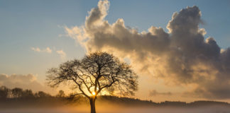 Nedēļas beigās beidzot īsts pavasaris: gaiss iesils līdz +13 grādiem!