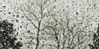 Ceturtdiena būs vējaina un lietaina, taču silta