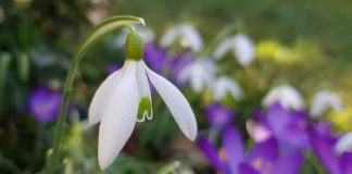 Ceturtdien Ventspilī brīžiem uzspīdēs saule, brīžiem apmāksies