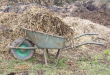 Šķirošanas laukumos sāks pieņemt arī “zaļos” atkritumus