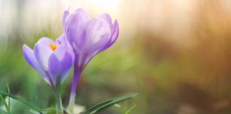 Otrdiena Ventspilī būs saulaina, gaiss iesils līdz +10 grādiem