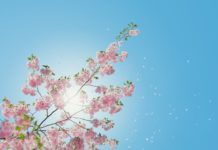 Otrdien bieži būs mākoņains, taču bez nokrišņiem