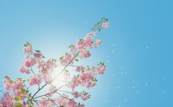 Otrdien bieži būs mākoņains, taču bez nokrišņiem