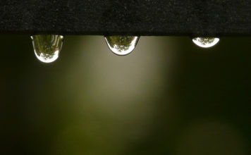 Nedēļas pirmajā pusē bieži līs un dominēs brāzmaini vēji