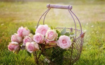 Šonedēļ populārākie vārdi – Igors un Inta