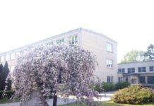 Piltenes vidusskolai meklē jaunu direktoru