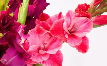 Šonedēļ populārākie vārdi – Oļegs un Liene