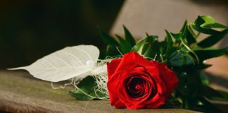 Bijušo Kultūras centra vadītāju Valdu Gulbi suminās par ilggadēju kultūrvides attīstību