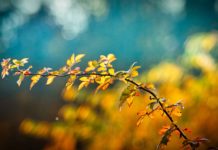 Trešdiena Ventspilī būs lielākoties saulaina, taču dzestra