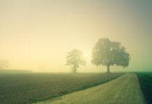 Svētdien saule mīsies ar mākoņiem, brāzmainais vējš – pierims