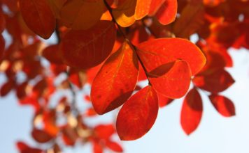 Ventspils māju saimniekiem atgādina par grāvju obligātu tīrīšanu