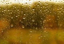 Jaunās nedēļas pirmās dienas pirmajā pusē bieži spīdēs saule, vēlāk – līs