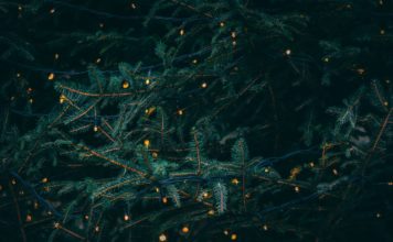 Galvenā egle novākta, pārējos rotājumus demontēs nākamnedēļ