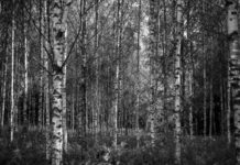 Iespaidi un asociācijas par neesošām atmiņām Jekaterinas Karpovas fotoizstādē