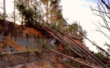 VIDEO + FOTO: Labragā nogruvis 200 m garš un 10-20 m plats stāvkrasta posms