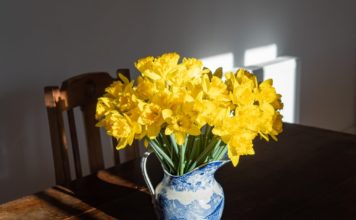 Šonedēļ populārākie vārdi – Ilona un Guntis