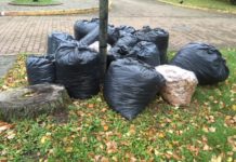 Uzsāk rudens lapu maisu savākšanas akciju