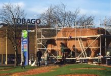 “Puķu gotiņu” ziemas sezonā rotās zaigojošas lampiņas