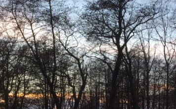 Brīvdienās gaidāmi plusi, pēc tam atgriezīsies sals