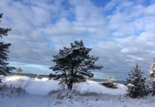 Ziemas dienests uzsāk diennakts dežūras