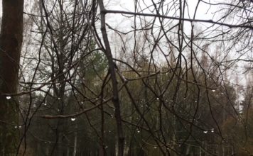 Nedēļas nogalē būs silts laiks, nokrišņu daudzums pamazām saruks