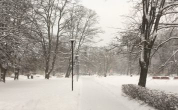 Pētījums: Depresijas simptomus Covid-19 pandēmijas laikā piedzīvoja 27,8% respondentu