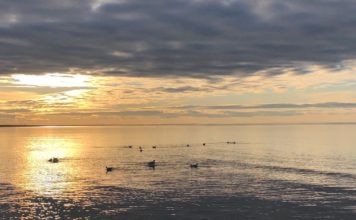 Brīvdienās būs silts, pavasarīgs laiks
