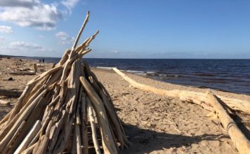 Šonedēļ gaidāms pat +17 grādu siltums