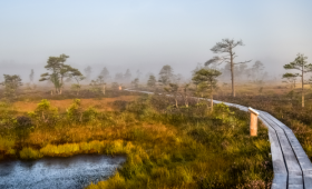 Pavasara pastaigu takas un maršruti Ventspils pusē