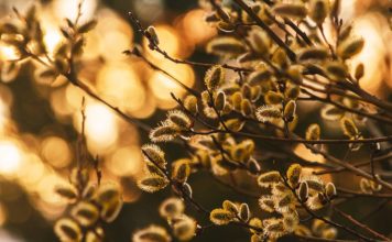 Otrdiena – nedēļas pēdējā siltā diena šonedēļ